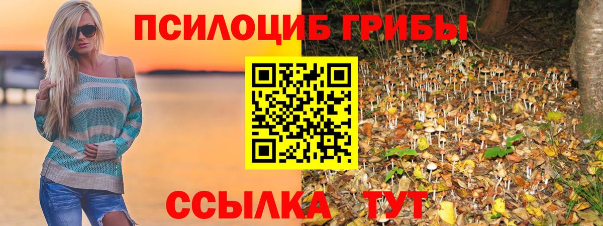 Псилоцибиновые грибы Magic Shrooms  Псилоцибиновые грибы Psilocybe  Дзержинский  Вход с VPN 